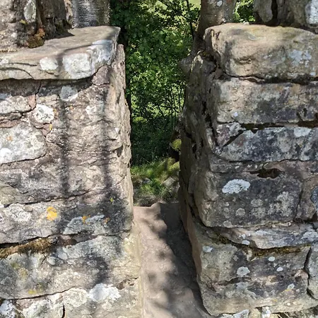 Dom wakacyjny Brook *