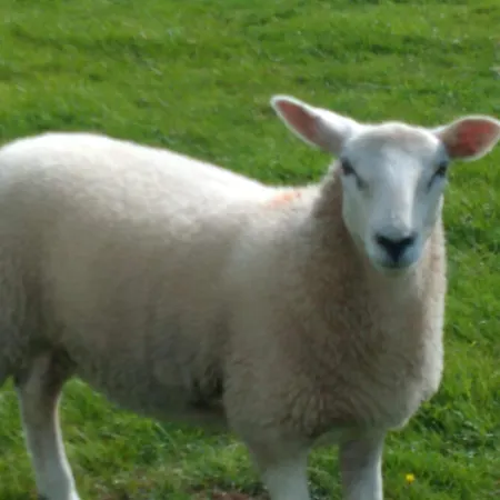 Brook Дом отдыха *