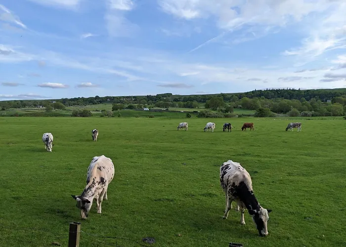 Holiday home Brook Askrigg